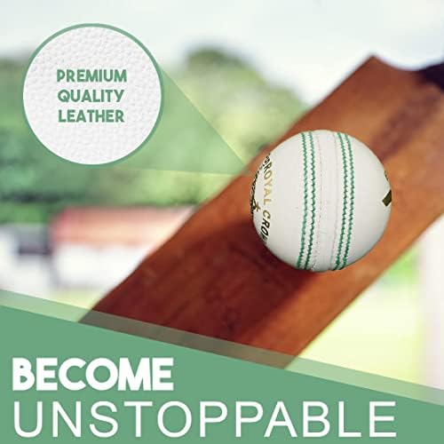 БТ бела топка со крикет - пакет од 3 оригинални кожни топки со крикет за ден или ноќ меѓународен стандарден крикет и пракса