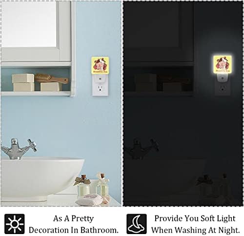 LED Rodailycay LED автоматски самрак на ситница за сензори, 2 пакувања приклучок за ноќно светло за бања, спална соба, детска