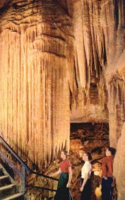 Национален парк Мамут пештера, разгледница во Кентаки