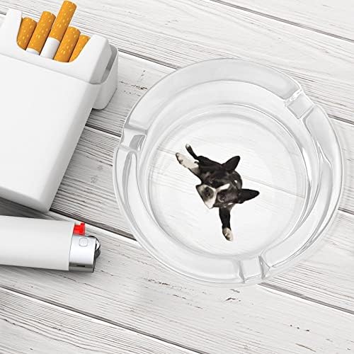 Бостон Териер кучиња стакло од пепел за цигари околу фиоки за пепел за домашна канцеларија и ресторани